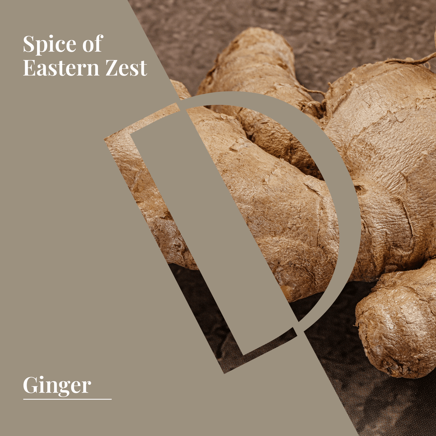 Close-up of fresh ginger root with "Spice of Eastern Zest" text overlay.