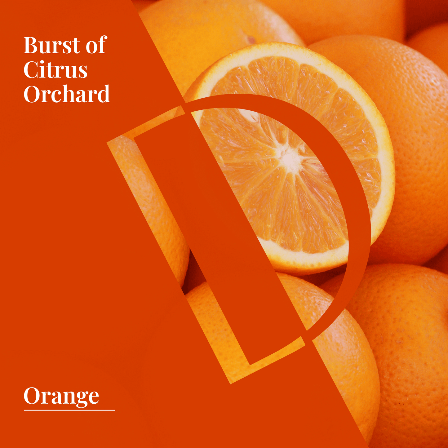 Burst of Citrus Orchard design with fresh oranges and an orange slice