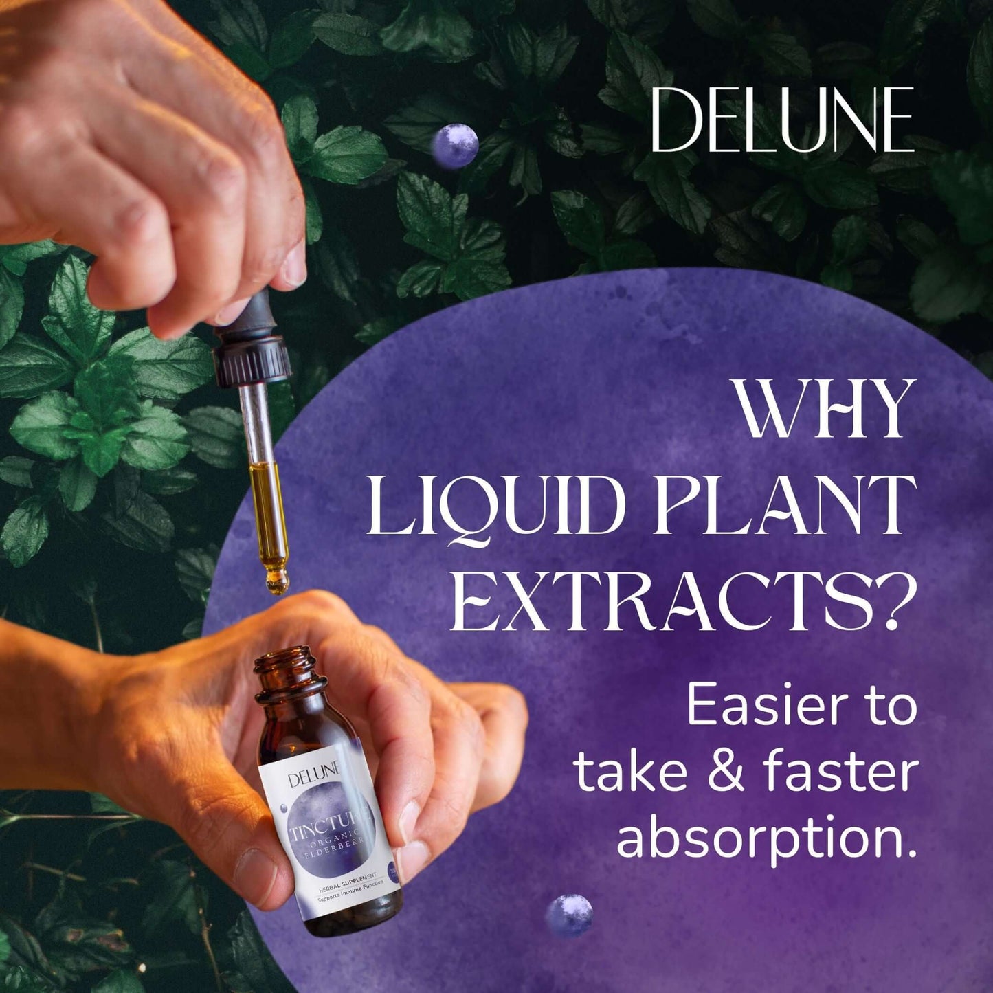 Person using dropper bottle of Delune herbal tincture with text about liquid plant extracts for easier and faster absorption.