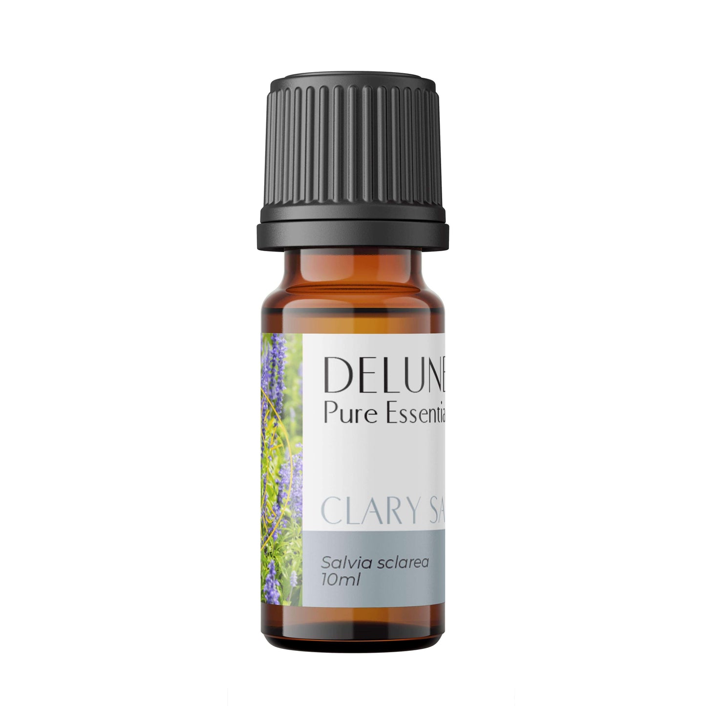 Clary Sage Pure Essential Oil bottle with calming herbal aroma for stress relief and relaxation, 10ml.