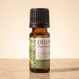 Coriander Seed Pure Essential Oil