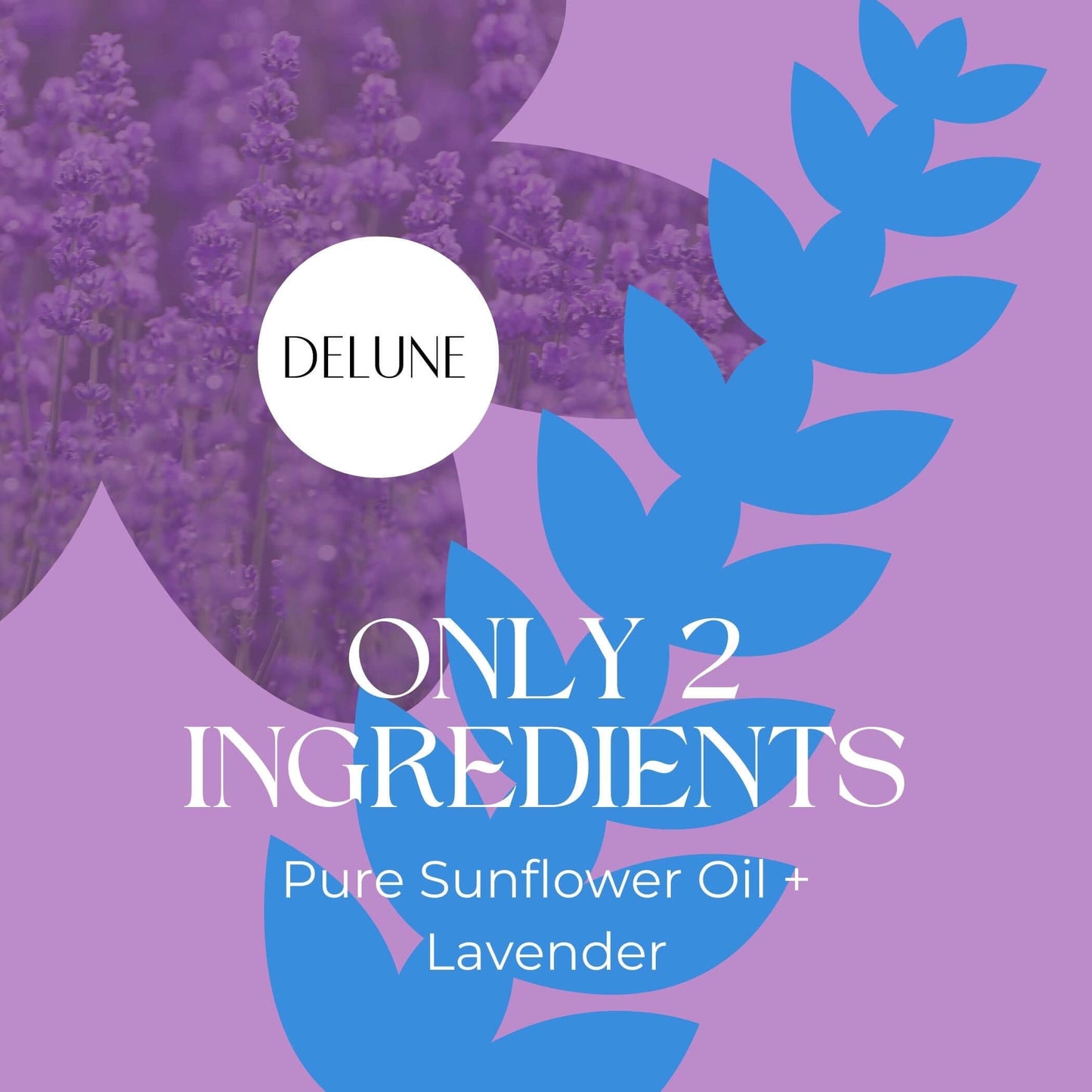 Delune Lavender Body Oil label with lavender fields and sunflower oil
