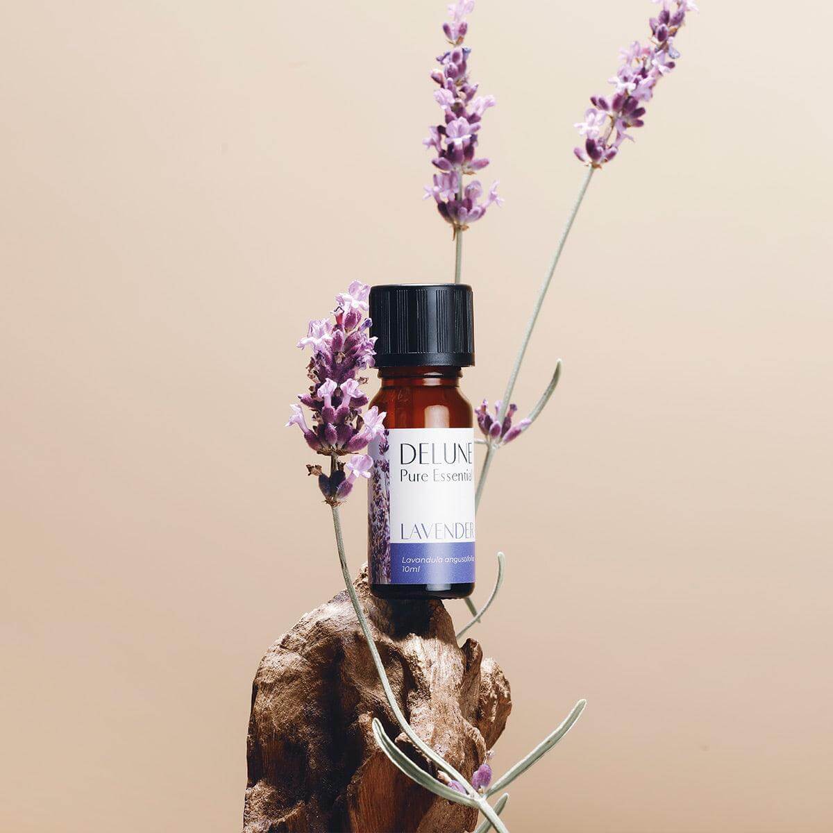 Lavender Pure Essential Oil - Delune