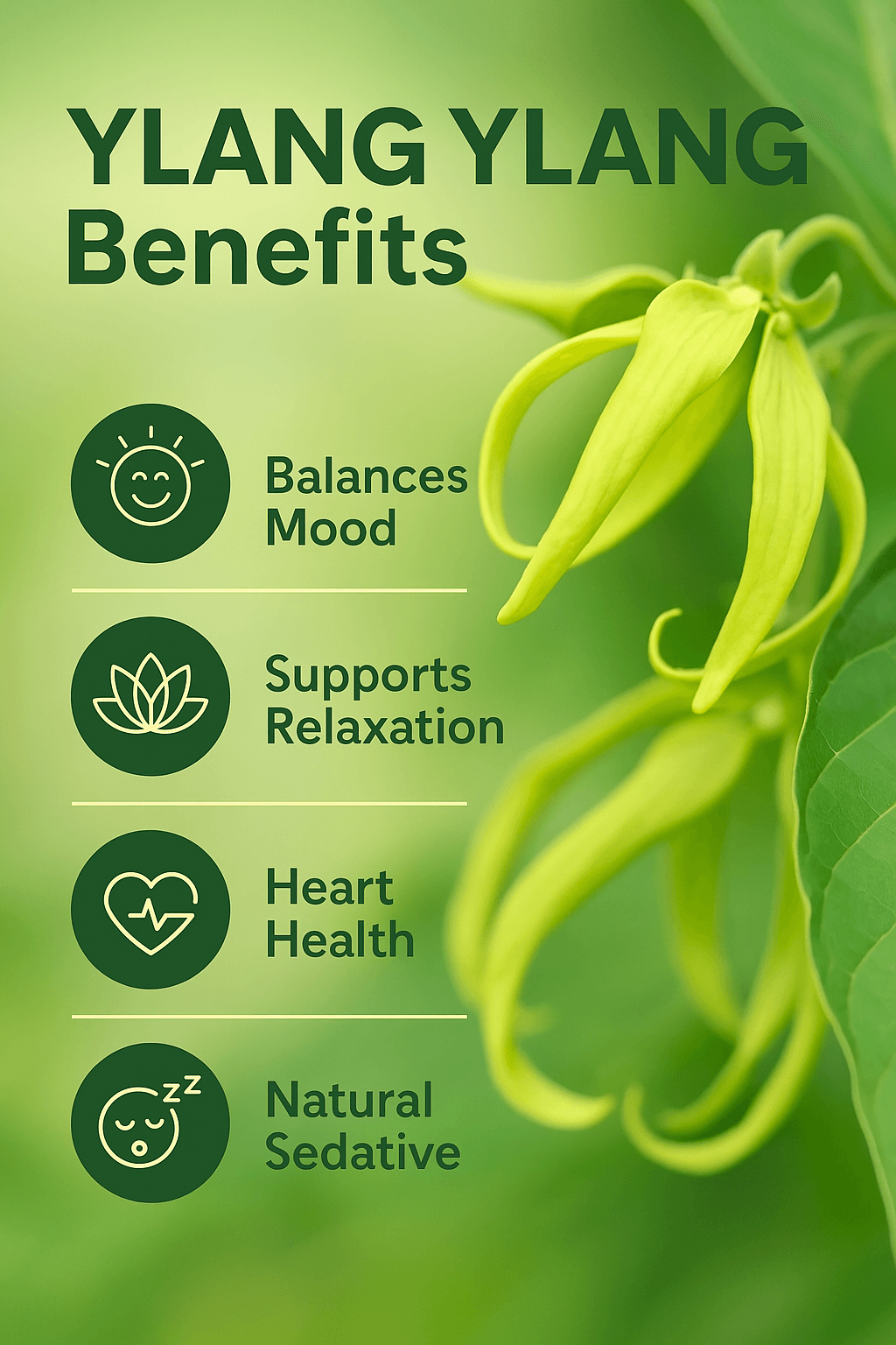 Ylang Ylang Pure Essential Oil - Delune