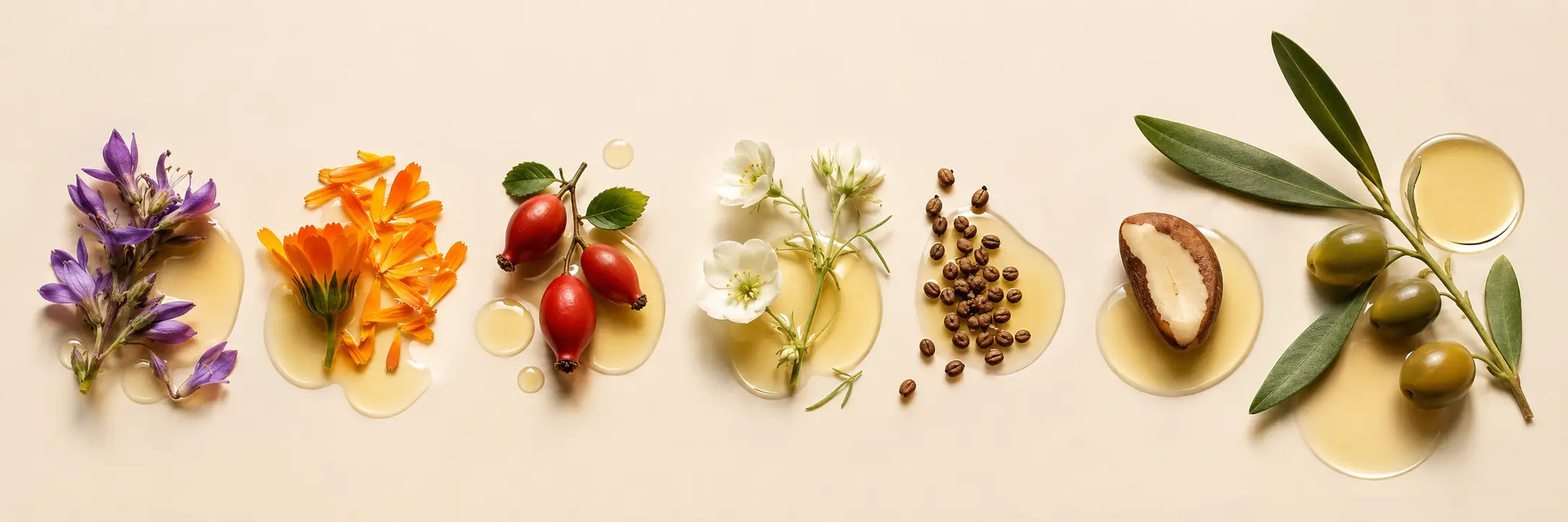 Bakuchiol, calendula, rosehip, meadowfoam, abyssinian, Brazil nut and olive squalane