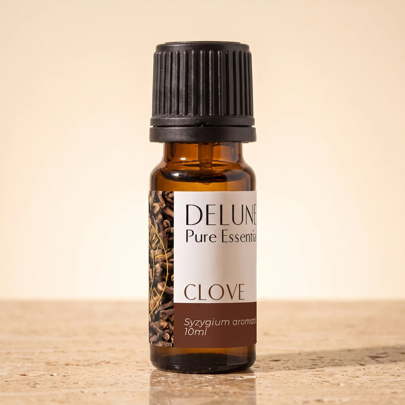 Delune Clove Pure Essential Oil, 10ml amber glass bottle on warm travertine stone