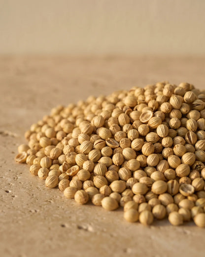 A heap of ribbed coriander seeds in warm light on travertine — the warm, sweet-spicy scent of Delune Coriander Seed Pure Essential Oil