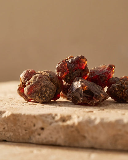 Raw myrrh resin pieces glowing deep garnet in warm backlight — the warm, bittersweet resinous scent of Delune Myrrh Pure Essential Oil