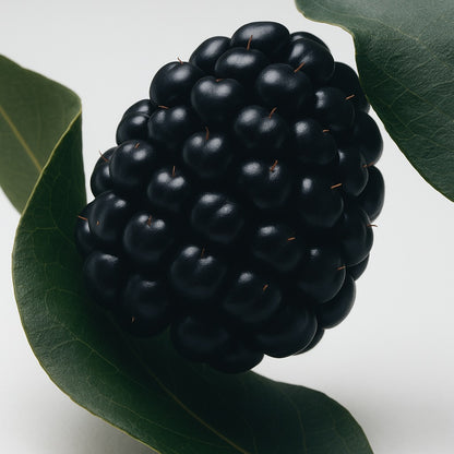 Bramble & Blackberry - Bar Soap