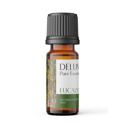 Eucalyptus Pure Essential Oil