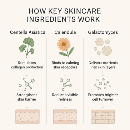 Centella Asiatica 100% Skin Extract