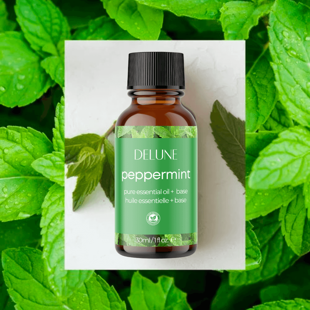 Peppermint essential oil with a refreshing mint aroma, perfect for body, bath, and layering with lavender or eucalyptus.